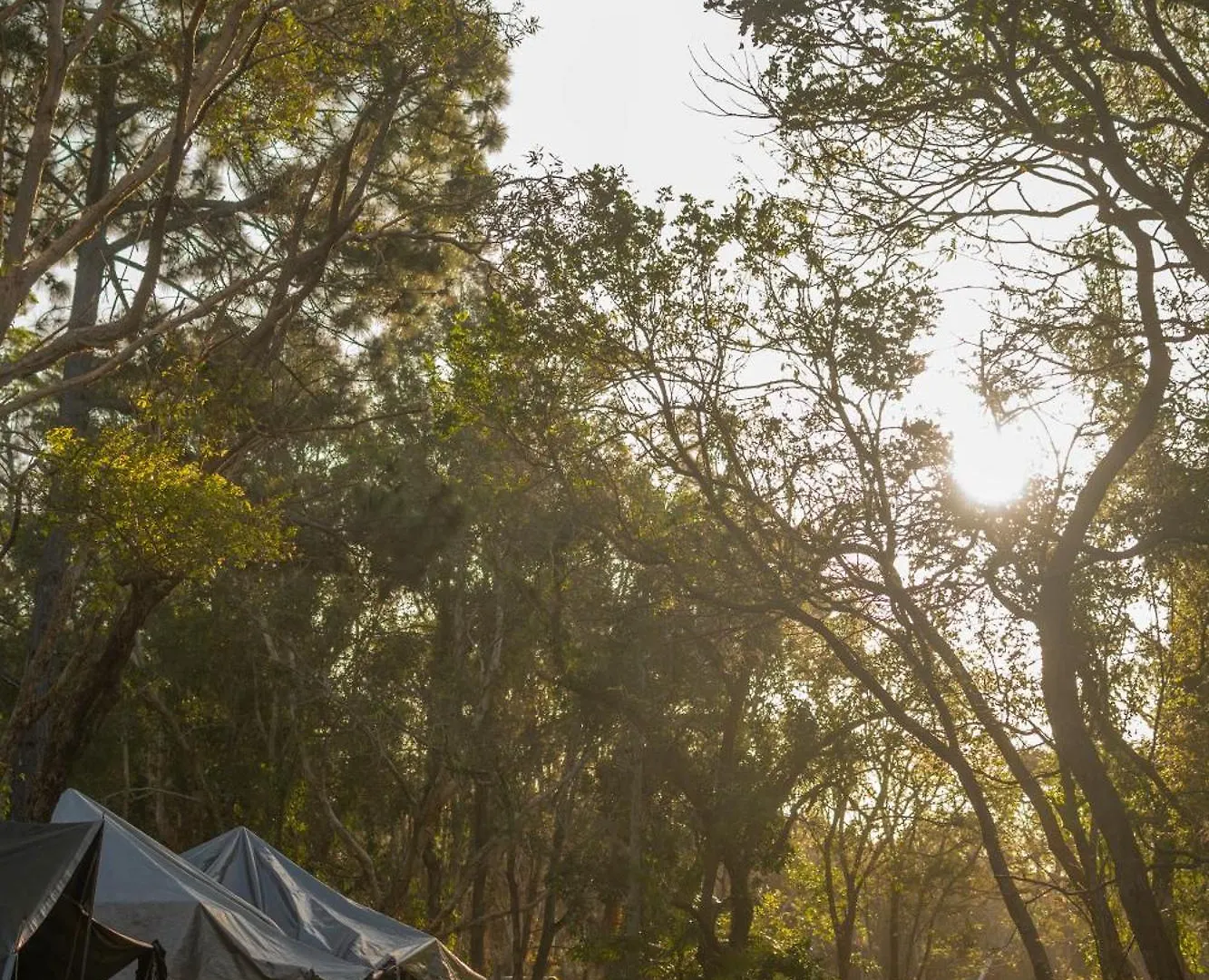 Hostel Arts Factory By Nomads (Adults Only) Byron Bay 0*,  Australien