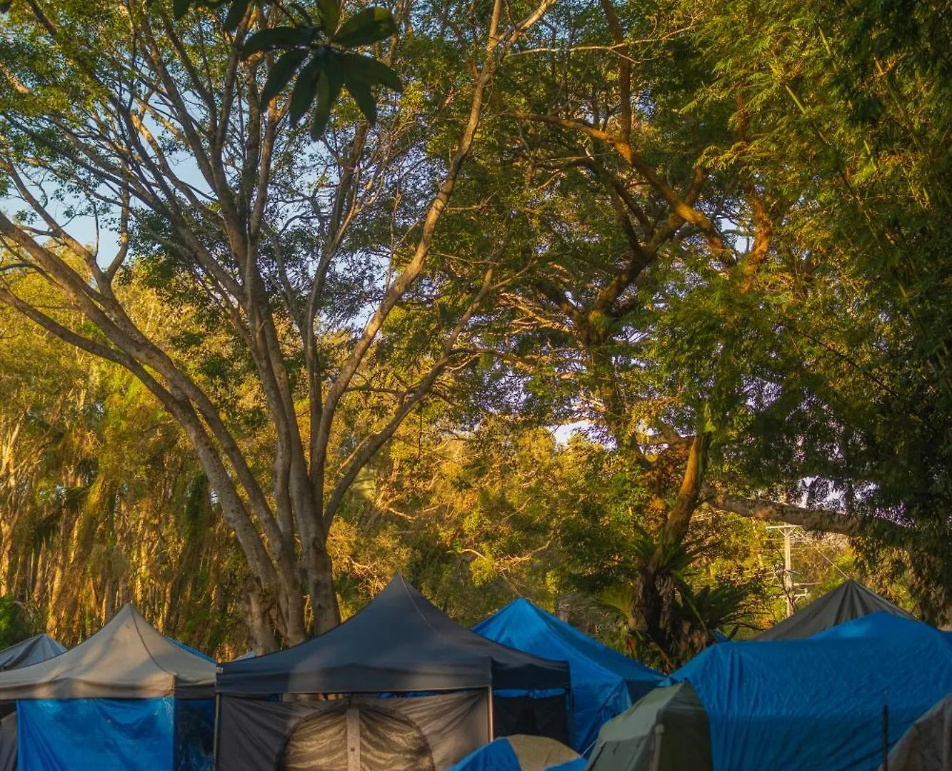 Arts Factory By Nomads (Adults Only) Hostel Byron Bay Australië